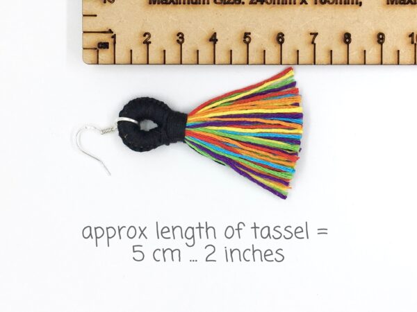 Pride Earrings, Custom LGBTQ Flag Ear Jewellery, Gay Rainbow Bisexual Trans Pan Lesbian Bi Ace, Queer Lightweight Light Cotton Tassels - Image 10